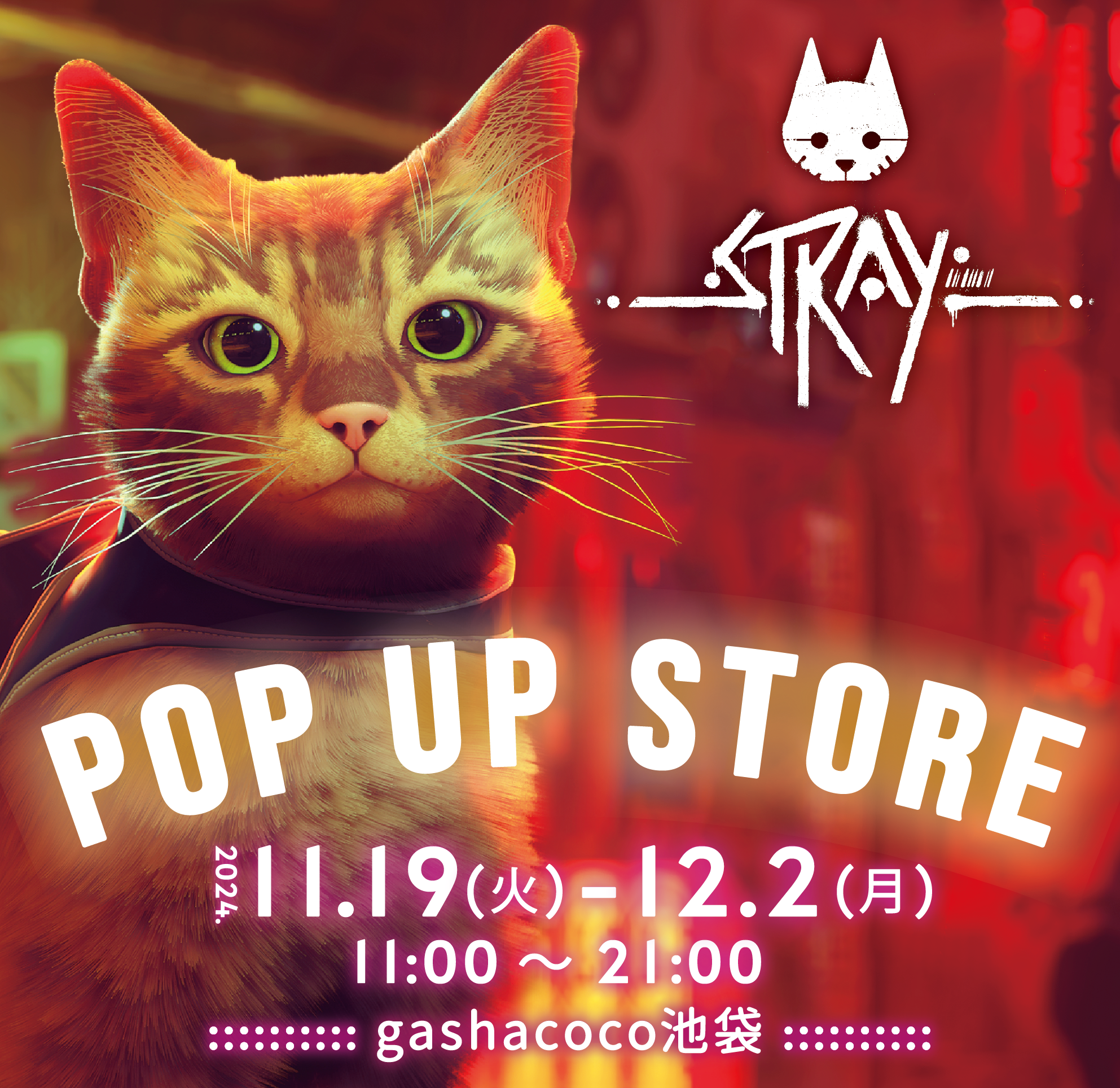 Stray初のPOP UP STOREを開催！